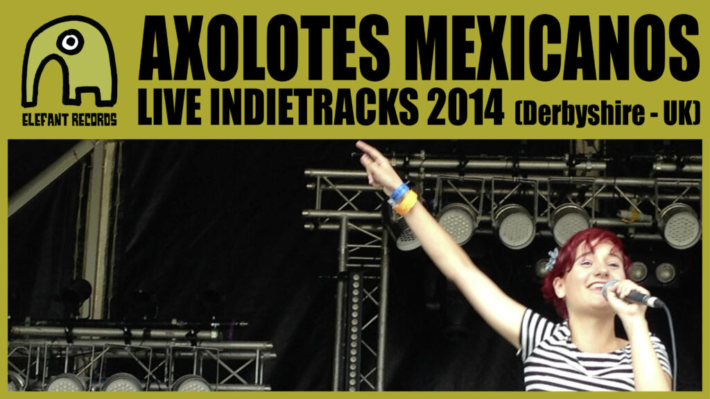 Imagen destacada de video: Concierto Indietracks 2014 [Playlist]